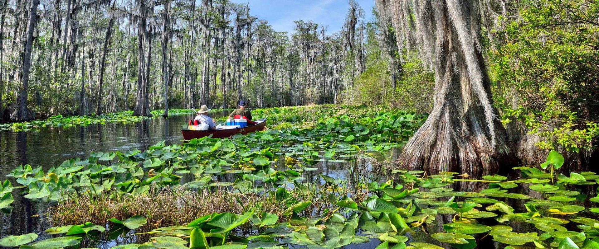 Replacing an HVAC System Near a Swamp or Wetland Area in Florida: What You Need to Know